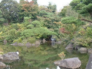 日本庭園の滝