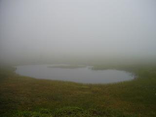 湯の丸高原 池の平湿原