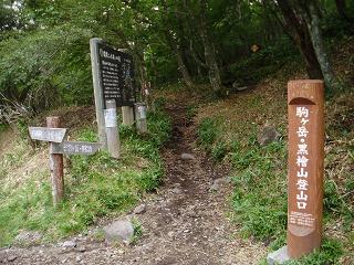 駒ケ岳登山道
